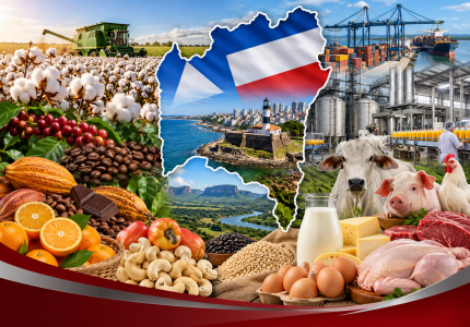 Bahia exporta insumos e matéria prima, importando alimentos. Sem industrialização, não agrega valor à sua produção.