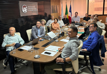 Conselho Pleno reuniu-se na manhã desta segunda-feira 
