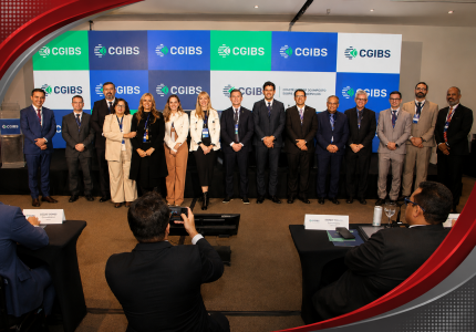 IAF Sindical destaca presença de Auditora Fiscal baiana na estrutura diretiva do Comitê Gestor do IBS