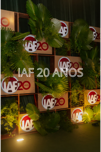51 Imagens
