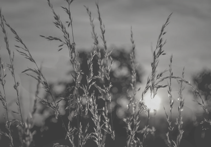 Morre auditor fiscal João Milton Dantas da Silva