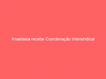 Anastasia recebe Coordenação Intersindical