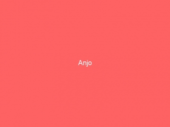 Anjo