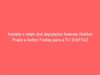 Assista o relato dos deputados federais Weliton Prado e Aelton Freitas para a TV SINFFAZ