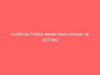 Audiência Pública debate reestruturação da SEF/MG