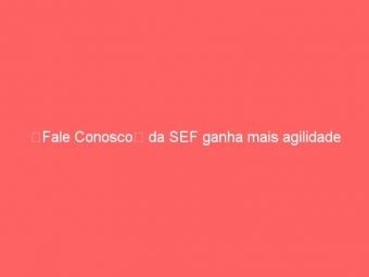 Fale Conosco da SEF ganha mais agilidade