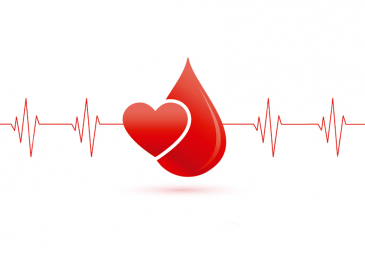Sinfazfisco-MG pede ajuda aos colegas para doação de sangue
