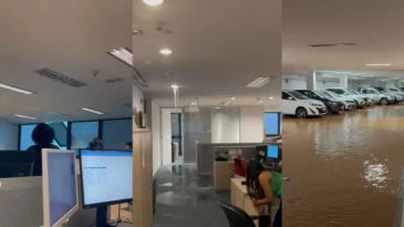 A situação precária da CAMG: Um alerta sobre a segurança dos servidores