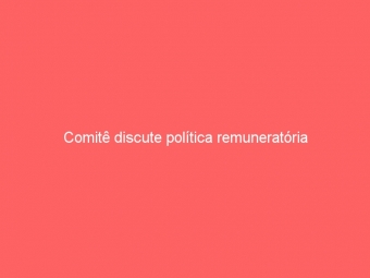 Comitê discute política remuneratória