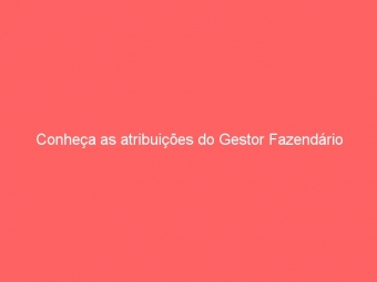 Conheça as atribuições do Gestor Fazendário