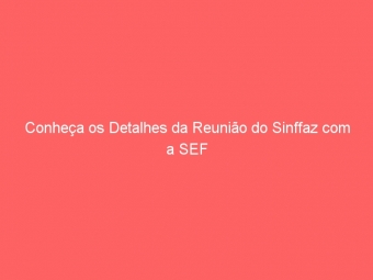 Conheça os Detalhes da Reunião do Sinffaz com a SEF