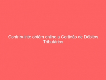 Contribuinte obtém online a Certidão de Débitos Tributários