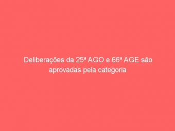 Deliberações da 25ª AGO e 66ª AGE são aprovadas pela categoria