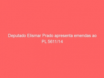 Deputado Elismar Prado apresenta emendas ao PL 5611/14