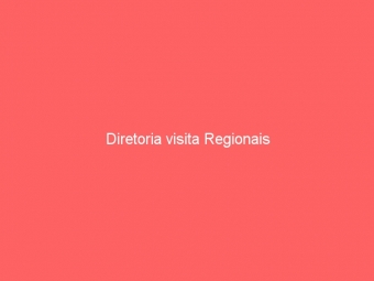 Diretoria visita Regionais