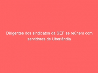 Dirigentes dos sindicatos da SEF se reúnem com servidores de Uberlândia