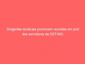 Dirigentes sindicais promovem reuniões em prol dos servidores da SEF/MG
