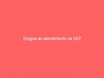 Elogios ao atendimento na SEF