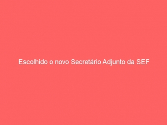 Escolhido o novo Secretário Adjunto da SEF