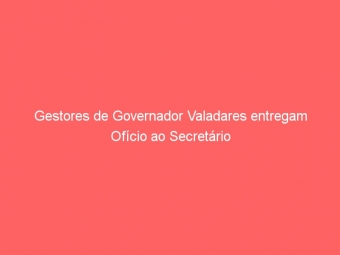 Gestores de Governador Valadares entregam Ofício ao Secretário