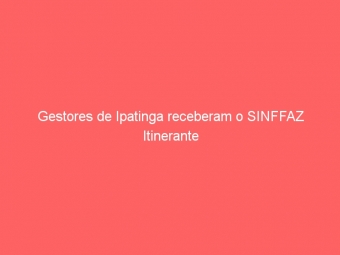 Gestores de Ipatinga receberam o SINFFAZ Itinerante