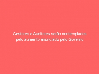 Gestores e Auditores serão contemplados pelo aumento anunciado pelo Governo