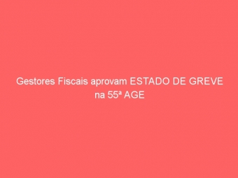 Gestores Fiscais aprovam ESTADO DE GREVE na 55ª AGE