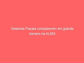 Gestores Fiscais comparecem em grande número na ALMG