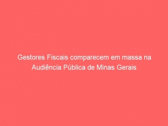 Gestores Fiscais comparecem em massa na Audiência Pública de Minas Gerais
