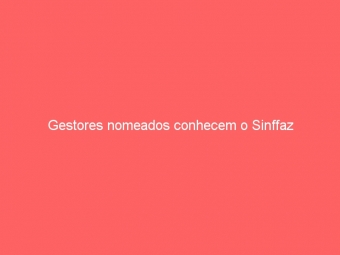 Gestores nomeados conhecem o Sinffaz