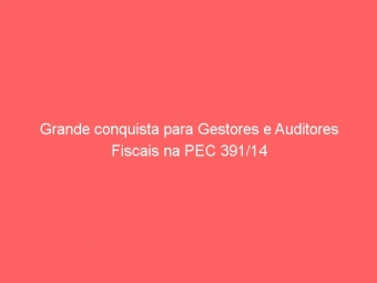Grande conquista para Gestores e Auditores Fiscais na PEC 391/14