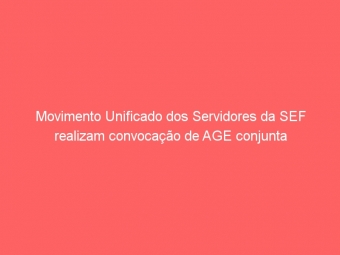 Movimento Unificado dos Servidores da SEF realizam convocação de AGE conjunta