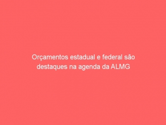 Orçamentos estadual e federal são destaques na agenda da ALMG