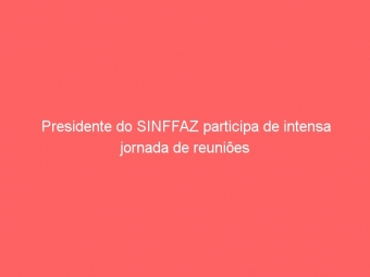 Presidente do SINFFAZ participa de intensa jornada de reuniões