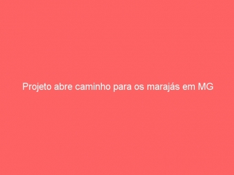 Projeto abre caminho para os marajás em MG