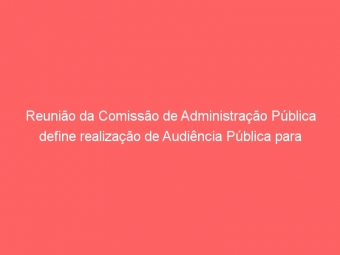 Reunião da Comissão de Administração Pública define realização de Audiência Pública para tratar do PL 3843/2013