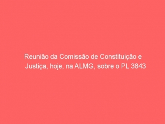 Reunião da Comissão de Constituição e Justiça, hoje, na ALMG, sobre o PL 3843