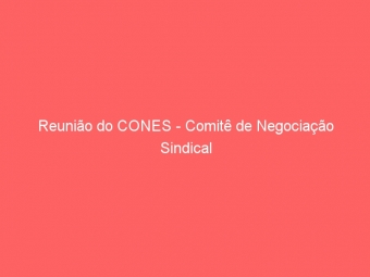 Reunião do CONES - Comitê de Negociação Sindical