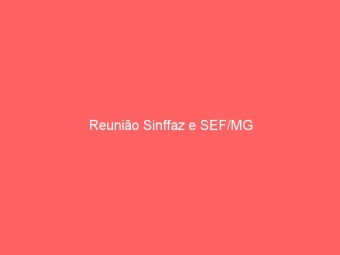 Reunião Sinffaz e SEF/MG