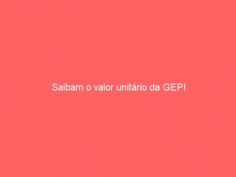 Saibam o valor unitário da GEPI