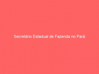 Secretário Estadual de Fazenda no Pará: