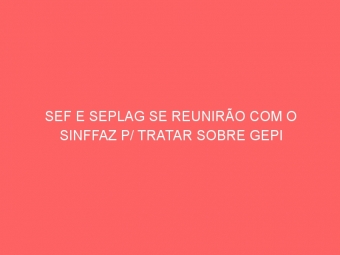 SEF E SEPLAG SE REUNIRÃO COM O SINFFAZ P/ TRATAR SOBRE GEPI