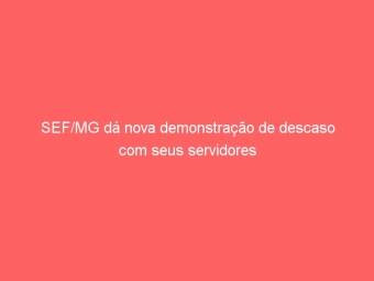 SEF/MG dá nova demonstração de descaso com seus servidores