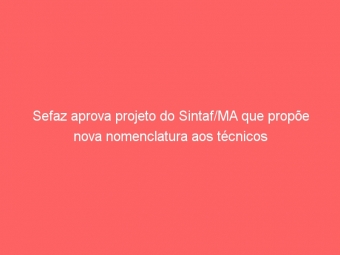 Sefaz aprova projeto do Sintaf/MA que propõe nova nomenclatura aos técnicos