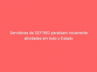 Servidores da SEF/MG paralisam novamente atividades em todo o Estado