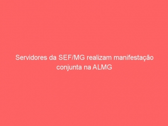 Servidores da SEF/MG realizam manifestação conjunta na ALMG