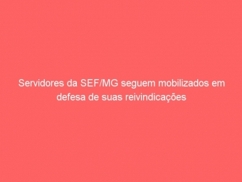 Servidores da SEF/MG seguem mobilizados em defesa de suas reivindicações