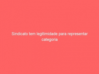Sindicato tem legitimidade para representar categoria