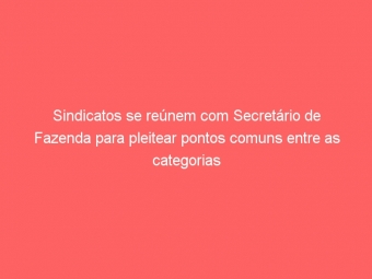 Sindicatos se reúnem com Secretário de Fazenda para pleitear pontos comuns entre as categorias