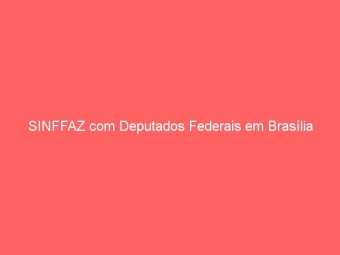 SINFFAZ com Deputados Federais em Brasília